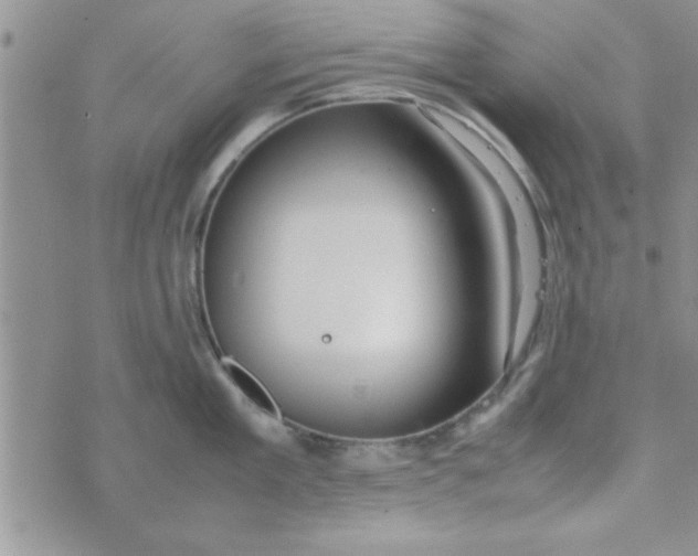 X0000074330909200609152054