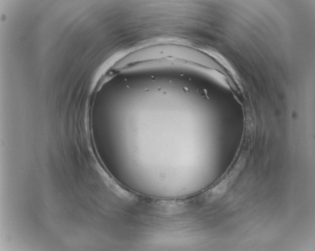 X0000074330910200609152054