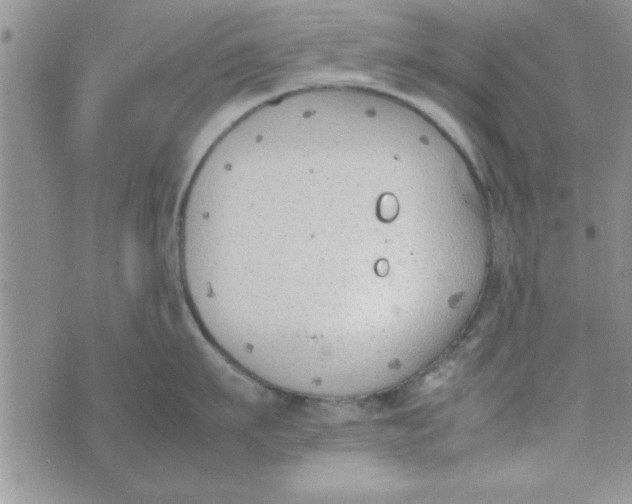 X0000074330911200609152054