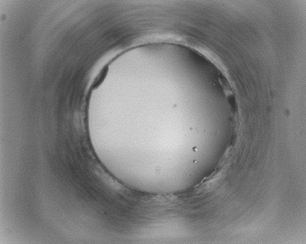 X0000074330912200609152054