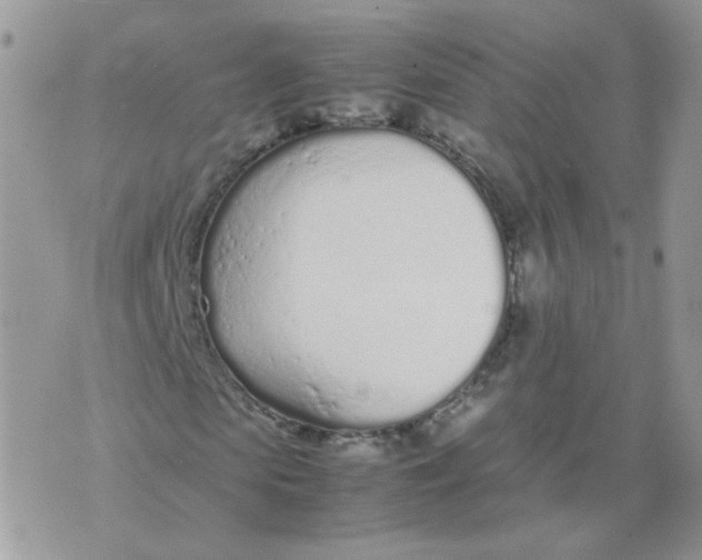 X0000074330913200609152053