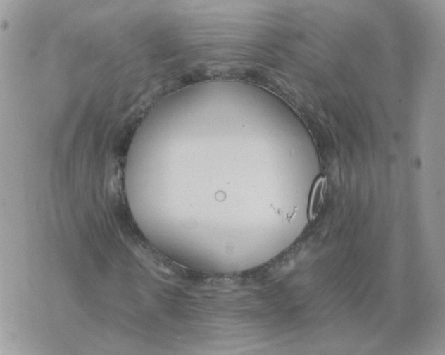 X0000074330914200609152053