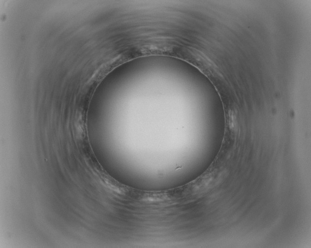 X0000074330915200609152053