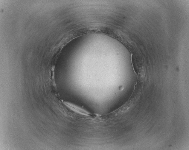 X0000074330916200609152053