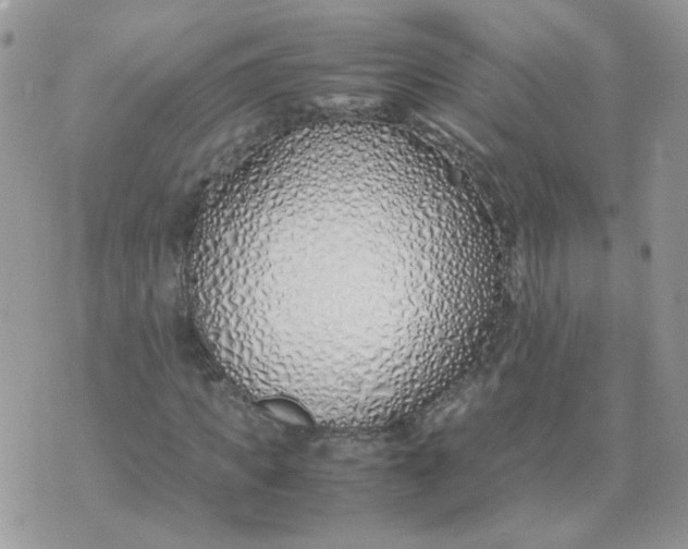 X0000074330917200609152053