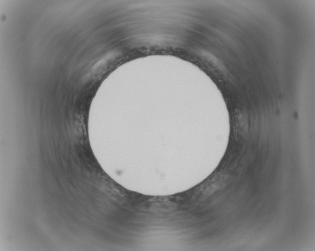 X0000074330918200609152053