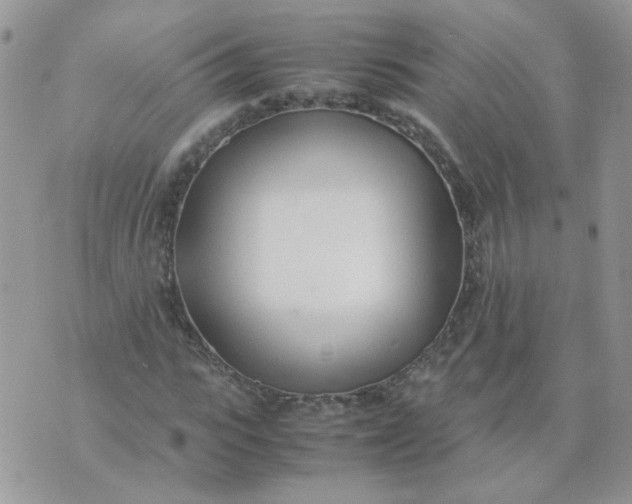 X0000074330919200609152053