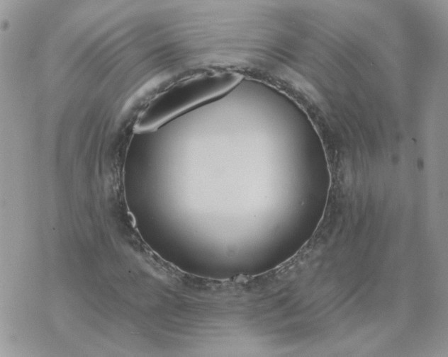 X0000074330920200609152053