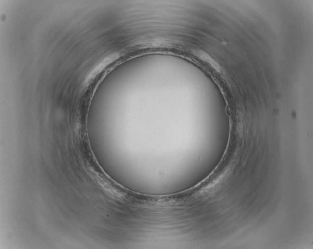 X0000074330922200609152053