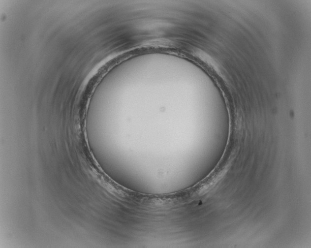 X0000074330923200609152053