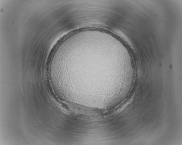 X0000074330924200609152053