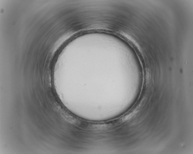 X0000074330925200609152053