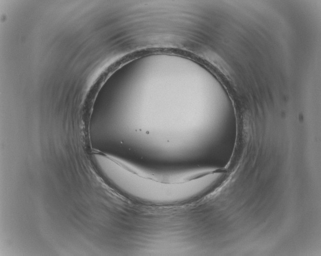 X0000074330926200609152053