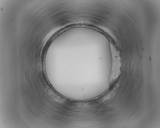 X0000074330927200609152053