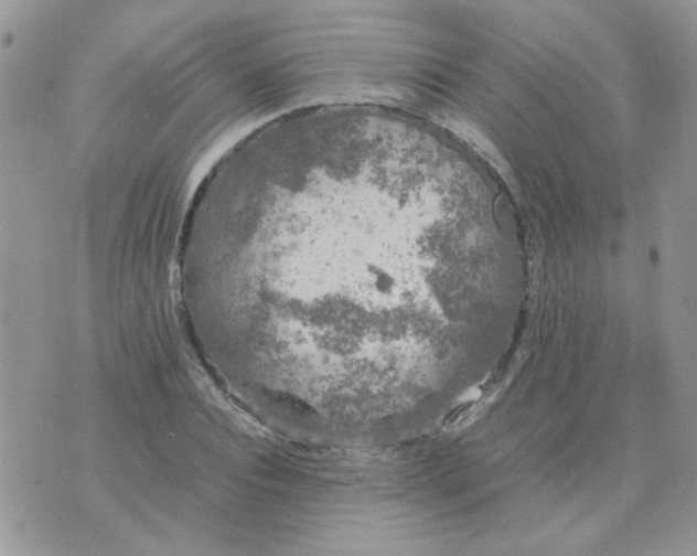 X0000074330928200609152053