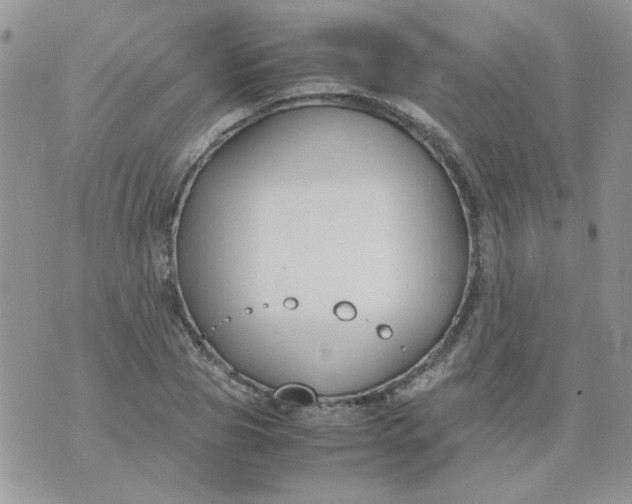 X0000074330929200609152053