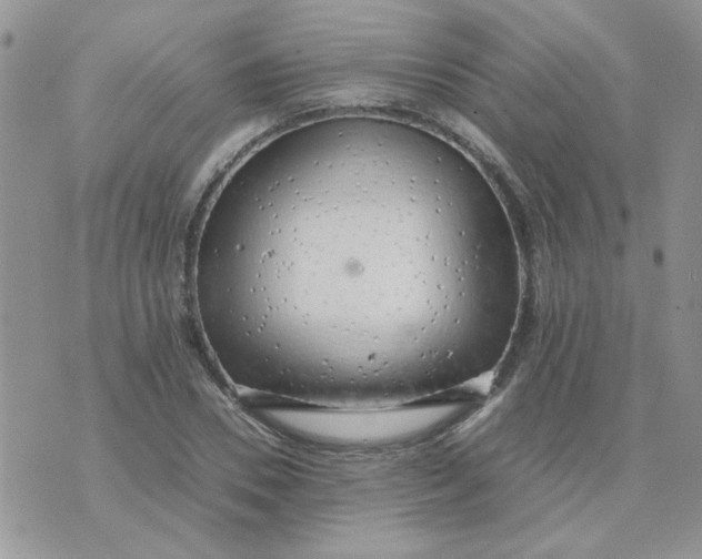 X0000074330930200609152053