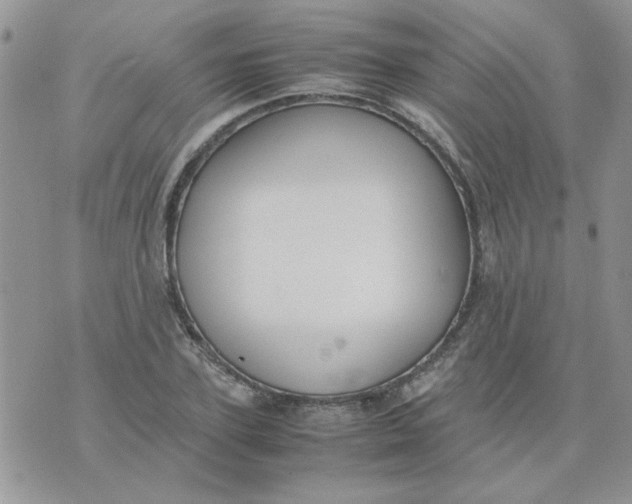 X0000074330931200609152053