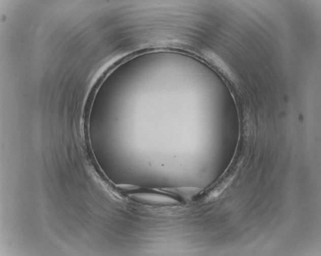 X0000074330932200609152053