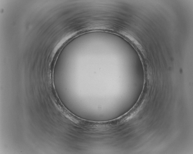 X0000074330933200609152053