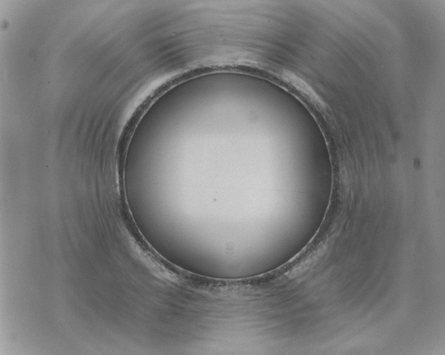 X0000074330934200609152053