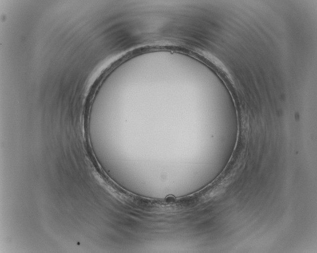 X0000074330935200609152053