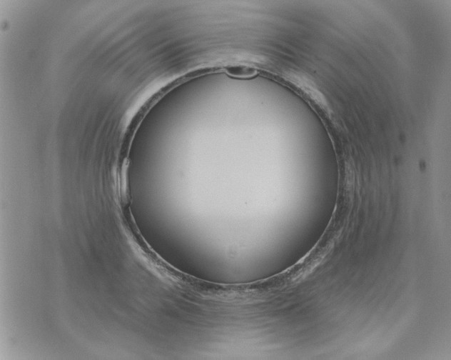 X0000074330936200609152053