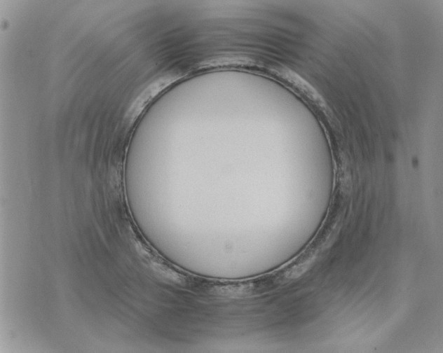 X0000074330937200609152053