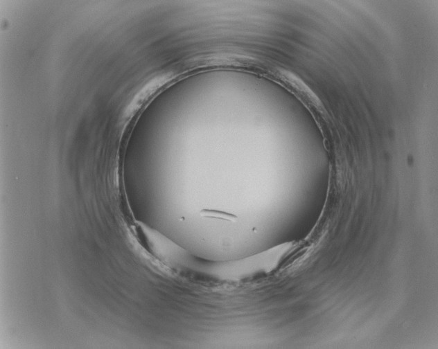 X0000074330938200609152053