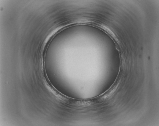 X0000074330939200609152053