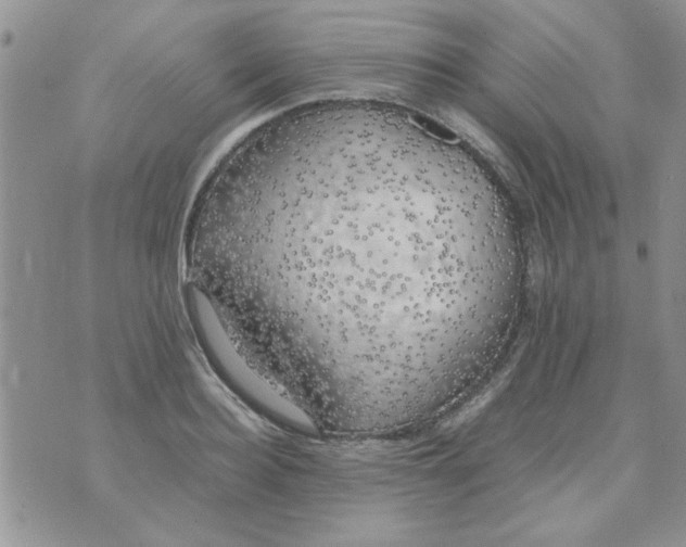 X0000074330940200609152053