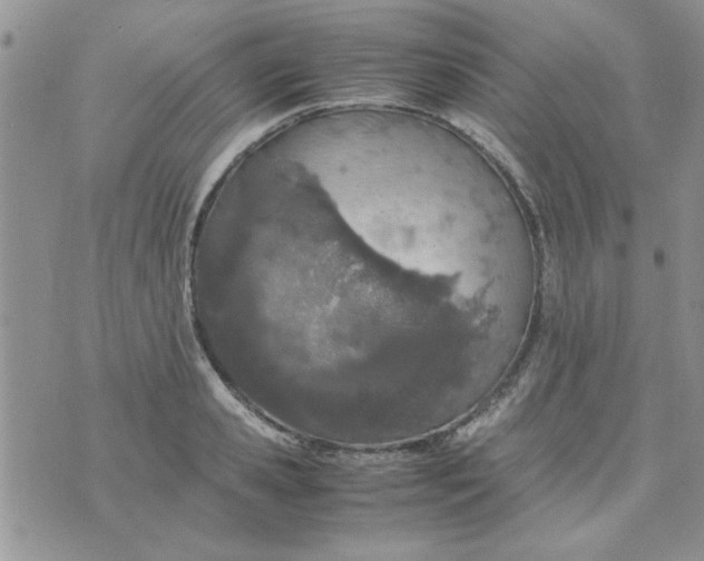 X0000074330941200609152053