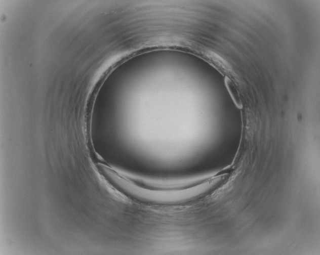 X0000074330942200609152053