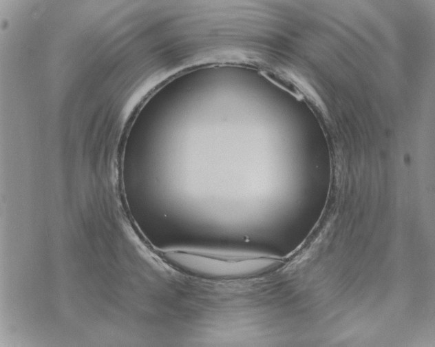 X0000074330944200609152053