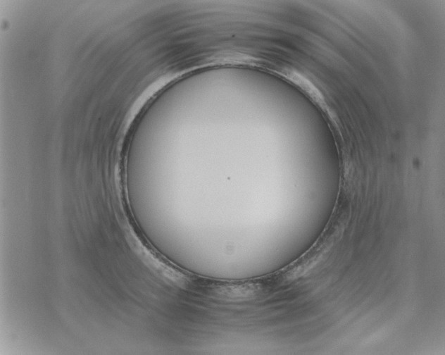 X0000074330947200609152053