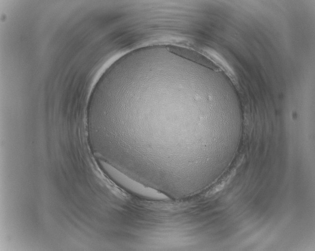 X0000074330948200609152053