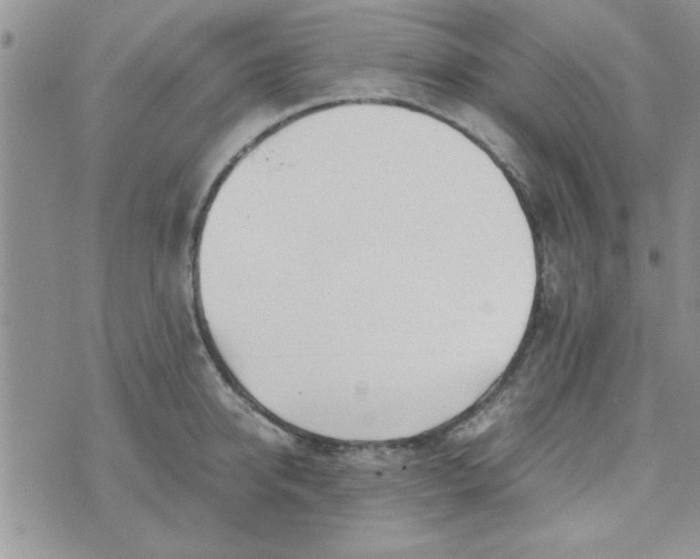 X0000074330950200609152053