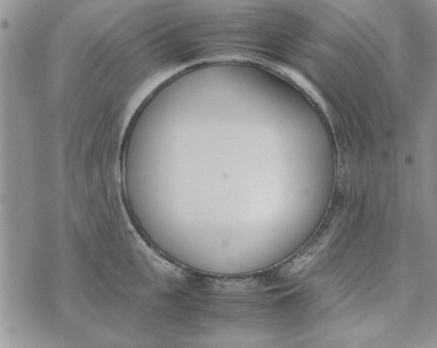 X0000074330951200609152053