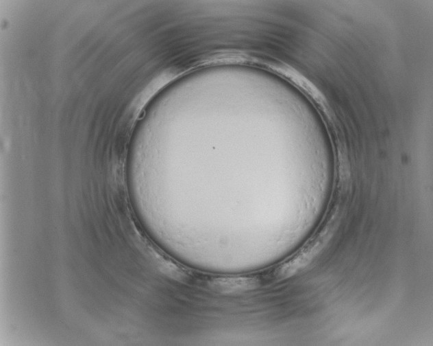 X0000074330953200609152053