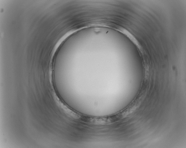 X0000074330955200609152053