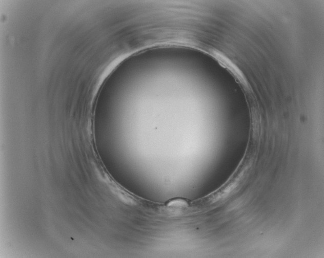 X0000074330956200609152053