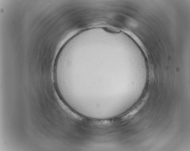 X0000074330957200609152054