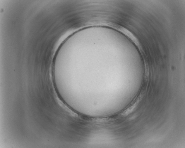 X0000074330958200609152054