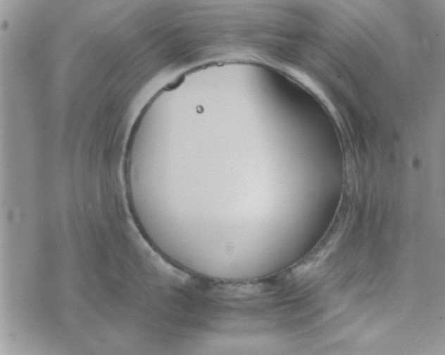 X0000074330959200609152054