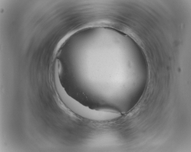 X0000074330960200609152054