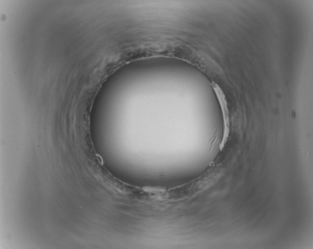 X0000074330961200609152053