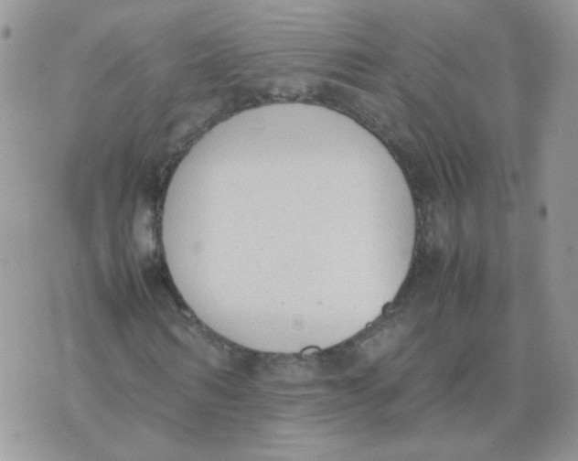 X0000074330962200609152053