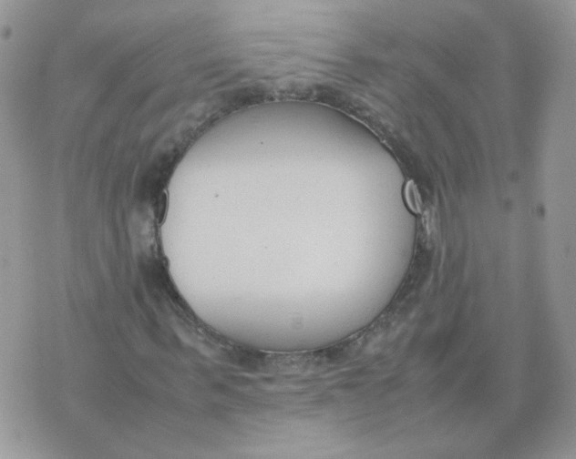 X0000074330963200609152053