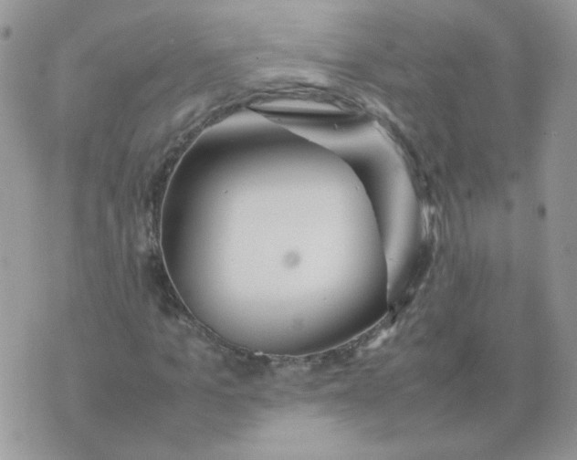 X0000074330965200609152053