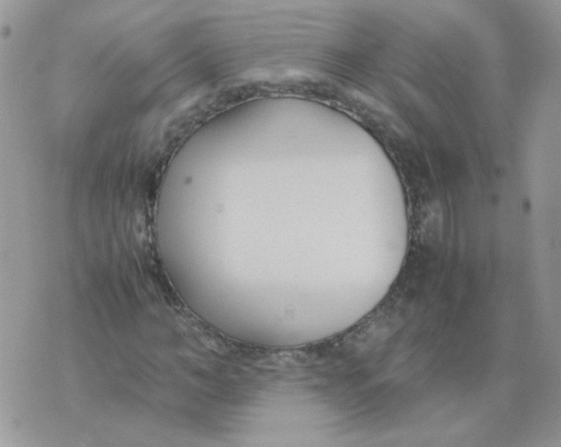 X0000074330966200609152053